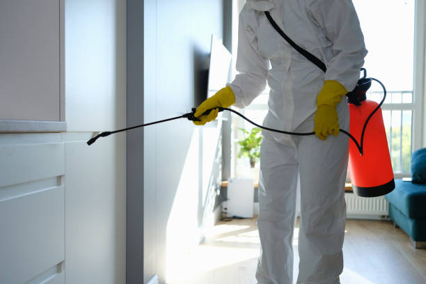 Why You Should Choose Our Mold Remediation Services in Huron, CA